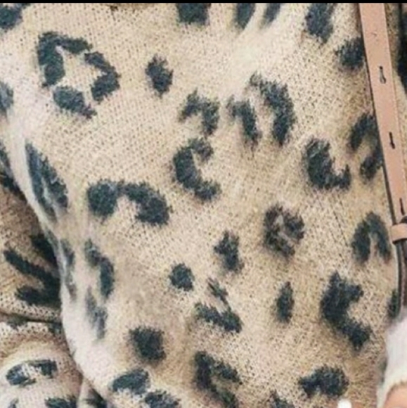 Leopard Print Sweater - Picture 2 of 2